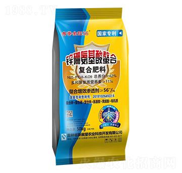 ���u����56�ͺϷ���25-8-9-��չ��