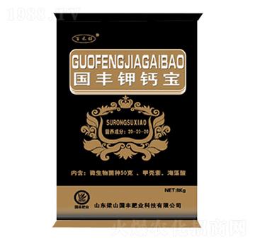 ���S��}�����b-���S�ʘI(y��)