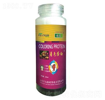 ��ɫ����-��Ԫ