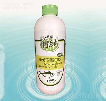 �þGС���ӵ�����-�{���r(n��ng)��