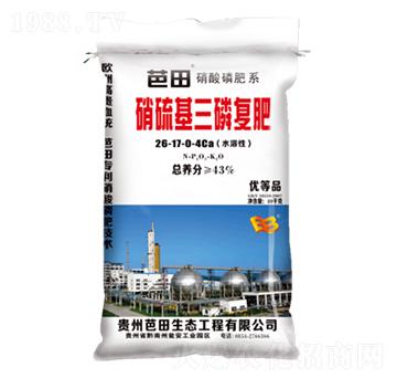 ��������׏ͷ�-����