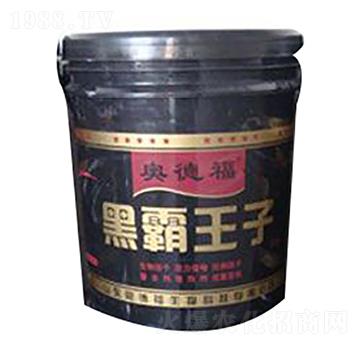 �ڰ�����-�W�¸�