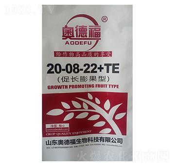 ���L�����20-8-22+TE-�W�¸�