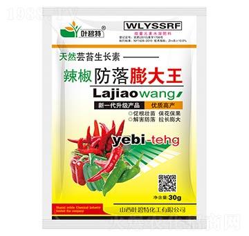 �������������-�~����