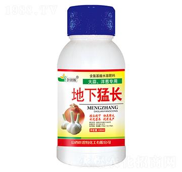 ���⡢���[�������L(zh��ng)-�~����