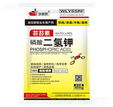 400g��������-�~����