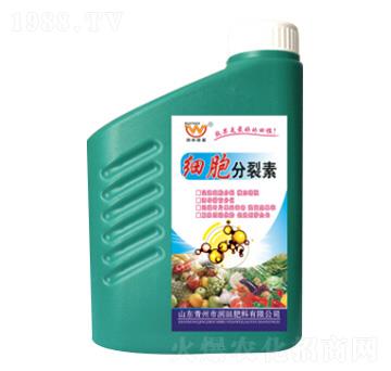 ��(x��)��������-�������