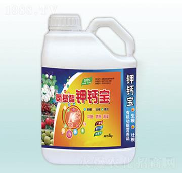 ��������}��-�������