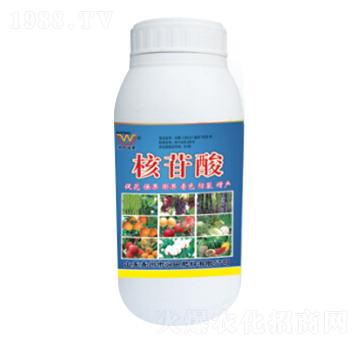 �������~���-�������