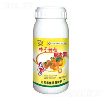 ���Ӹ��������-�����