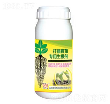 ���猣��������-�����