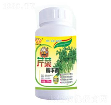 �۲˾��A��-�������