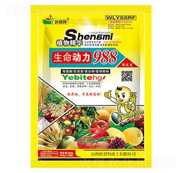 ������(d��ng)��988-�~����