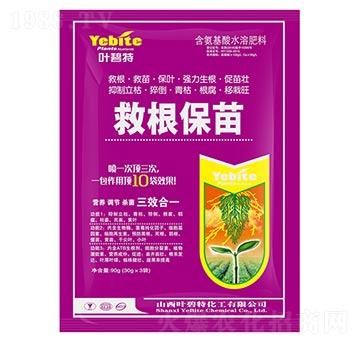 �ȸ�����-�~����