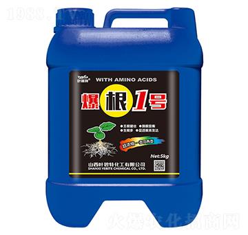 ����1̖(h��o)-�~����