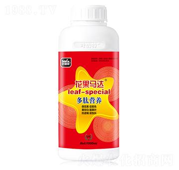 花果馬達-葉碧特