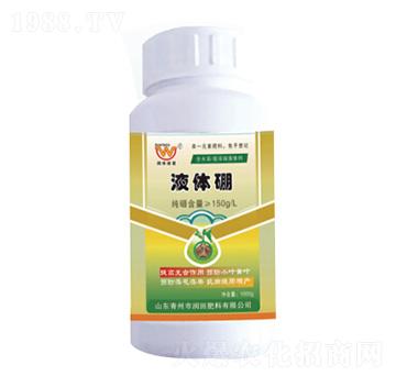 Һ�w��-�������