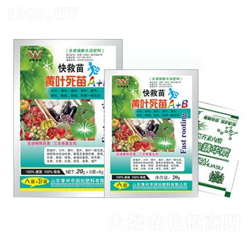 �S�~����A+B-�����