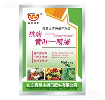 �����S�~һ���G-�����