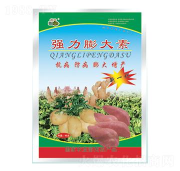 ��(qi��ng)�������-�������