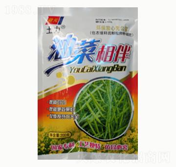 �Ͳ����-�����ʘI(y��)