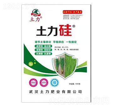 ������-�����ʘI(y��)