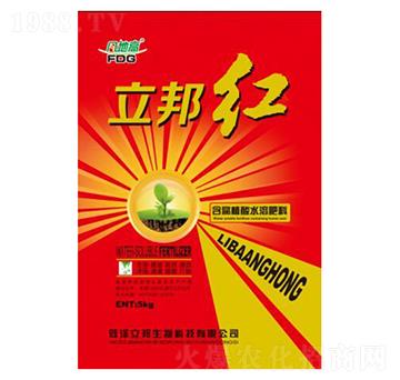 ����ֲ�����-����t-