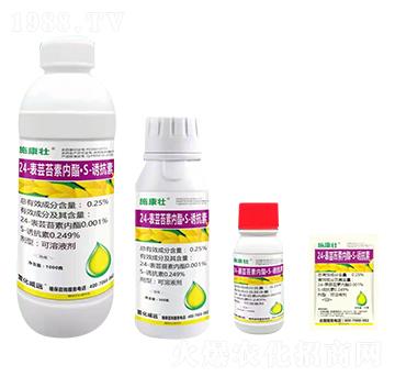 24-���|̦�؃�(n��i)����S