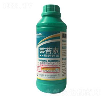 �|̦��-�����_