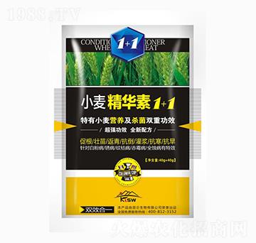 С�����A��1+1-�����_(d��)