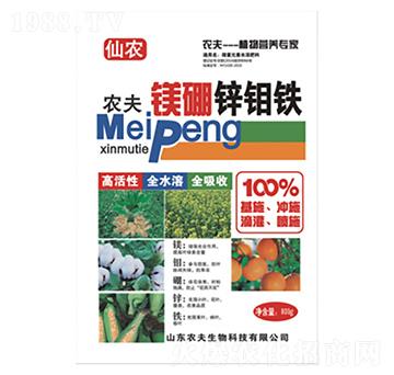 �V���\�f�F-�r��