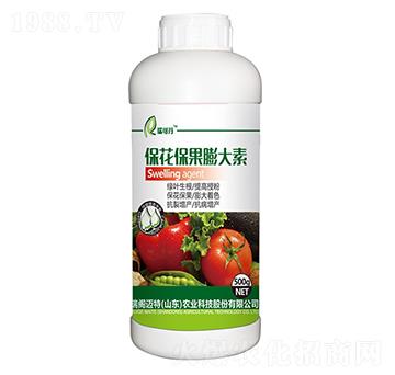 �������������-��ɵ�-���w�~��