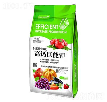 ���ь���-���}�����-���w�~��