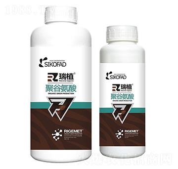 �۹Ȱ���-��ֲ-���w�~��