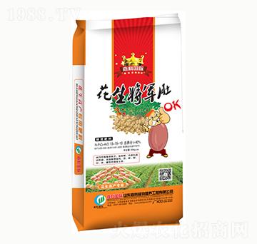 �������15-15-10-������܊��-�ο�