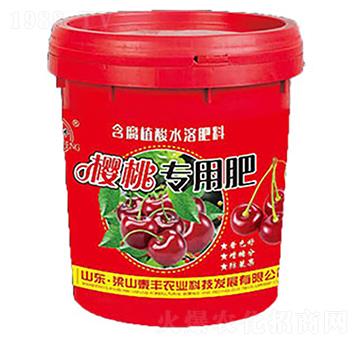 ���Ҍ��÷�-��ɽ̩�S