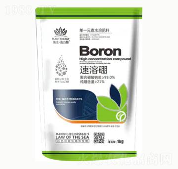 ������-��혻���