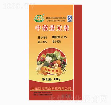 中微量元素肥-鴻豐年-玥元農業(yè)