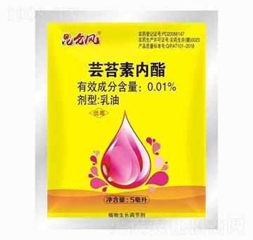 �|̦�؃���-�����_