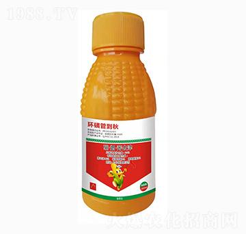 24%����ݬȥ��-�h(hu��n)�ǹܵ���-��֮�