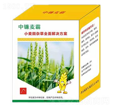 С�����s��ȫ���Q����-�������-��֮�