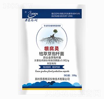 �����`-�ڶ���