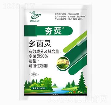 ��������`-�ڶ���