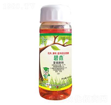 �̈���(f��)�����c-�ڶ���