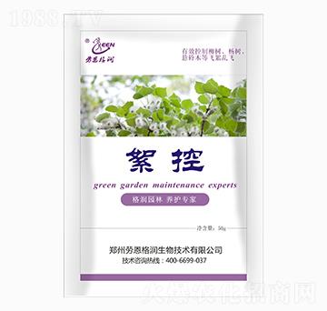 ����-�ڶ���