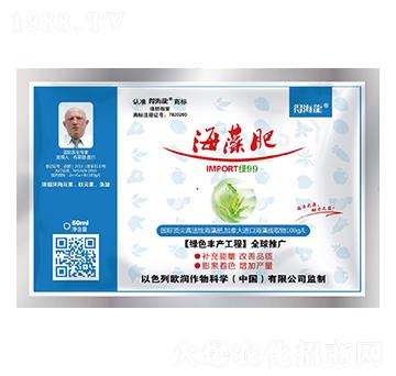 �����-�ú���-������