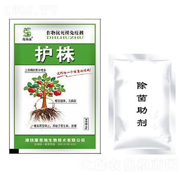 �o�꼰�M��-�ú���-������