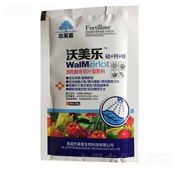 ����ø�ЙC�~�����-�|