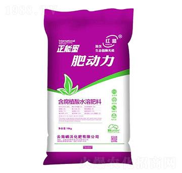 ����ֲ��ˮ�ܷ���-�ʄ���-����