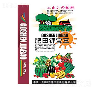 ����⛌���-�|���S